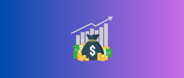 What is Money-Weighted Return (MWR)?